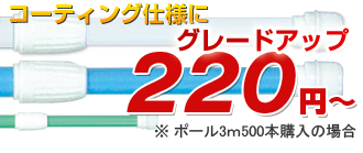 �̂ڂ�|�[��3m�@220�~�`�@���|�[��3��500�{�w���̏ꍇ